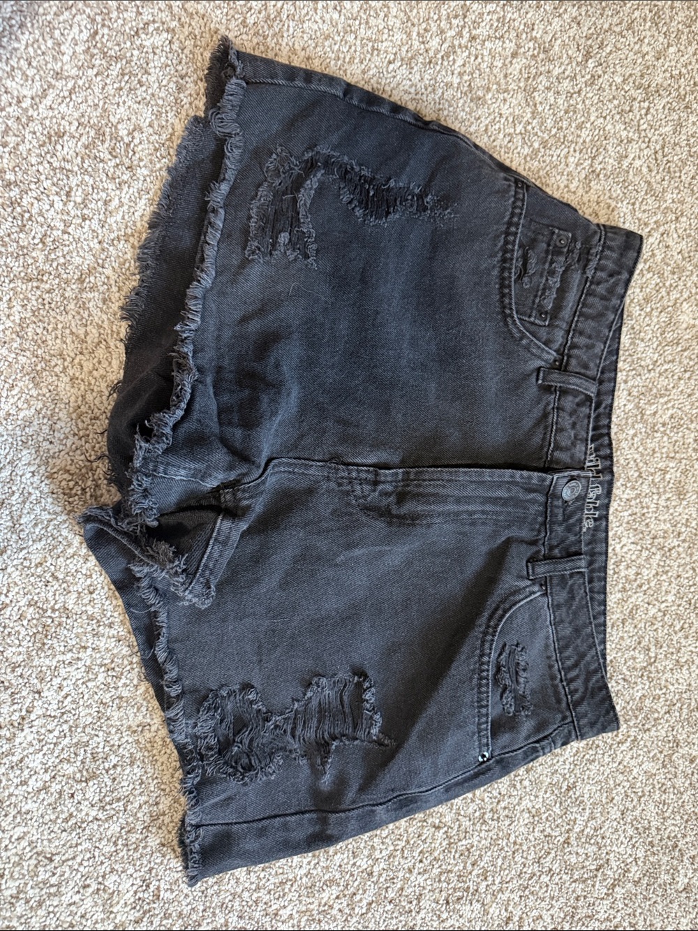 Wild fable Black Distressed Frayed Hem Denim Shorts